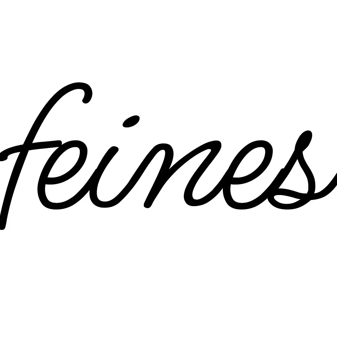 2026-feines-website-Layoutdatei-BLOGblog warum feines